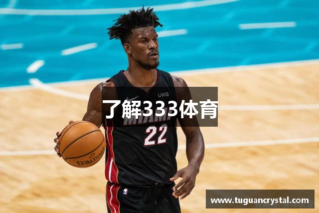 了解333体育